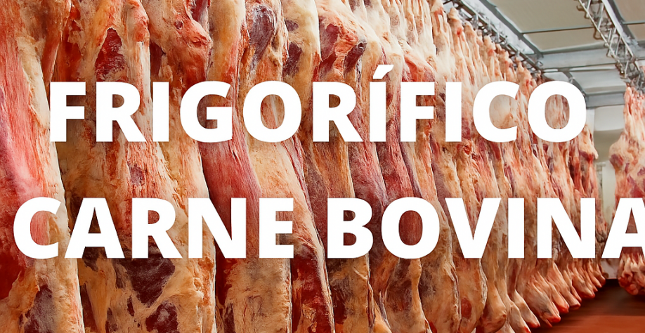 Brasil desbanca EUA e é líder mundial na produção de carne bovina