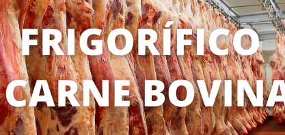 Brasil desbanca EUA e é líder mundial na produção de carne bovina