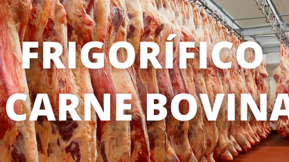 Brasil desbanca EUA e é líder mundial na produção de carne bovina