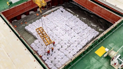 Entregas de fertilizantes ao mercado brasileiro cresceram 11,3% em setembro