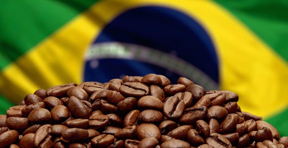 Cafés do Brasil atingem recorde R$ 114,86 bilhões em VBP em 2025