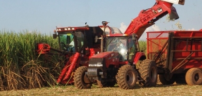 SP: Agro atinge superávit de US$ 21 bi em 2025, puxado por açúcar e China