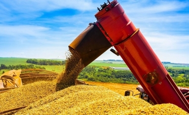 Conab revisa para baixo estimativa para a safra de grãos