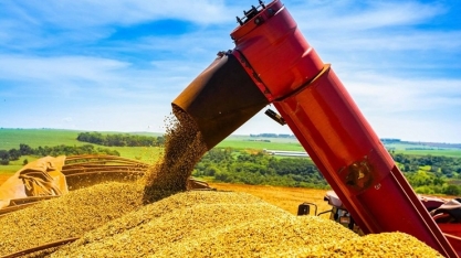 Conab revisa para baixo estimativa para a safra de grãos