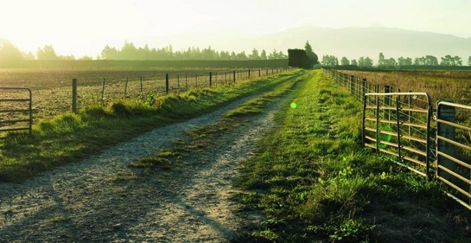 Faturamento ‘dentro da porteira’ deve desacelerar neste ano