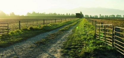 Faturamento ‘dentro da porteira’ deve desacelerar neste ano