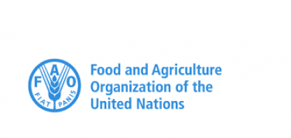 Período mais crítico para alimentos ficou para trás, aponta FAO