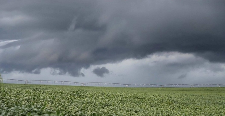 Agro tenta reverter veto à blindagem de orçamento para subsidiar o seguro rural