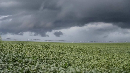 Agro tenta reverter veto à blindagem de orçamento para subsidiar o seguro rural