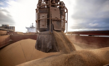 Ano dos recordes: Os produtos que o agro do Brasil mais exportou em 2025