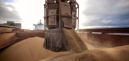 Ano dos recordes: Os produtos que o agro do Brasil mais exportou em 2025