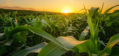 Clima ajuda a safra 2025/2026, apesar de sustos