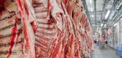 Brasil esgota a cota de exportação de carne bovina para os EUA em 2026