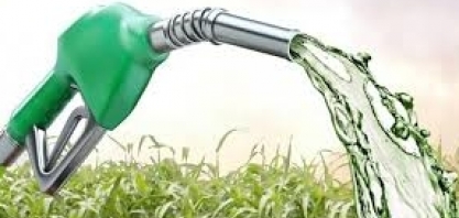 Etanol: Hidratado sobe 0,90% e anidro 0,59% na semana nas usinas de SP