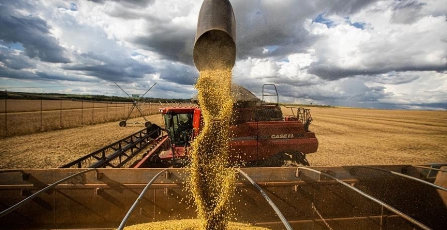 Agro sai de recordes em 2025 para estagnação em 2026