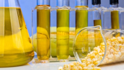 Expansão na oferta de etanol de milho pode afetar mercado global de açúcar