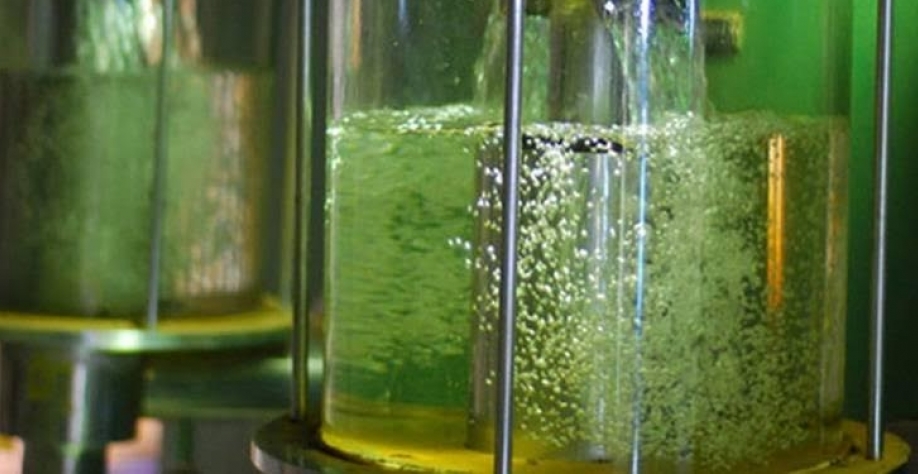 Exportações de etanol em 2025 foram as menores em oito anos