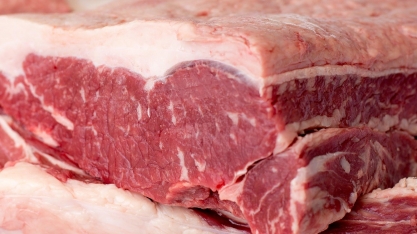 Agro: Entenda o que são salvaguardas e como elas impactam as exportações