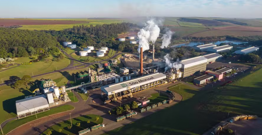Como a IA promete transformar moagem da cana e ampliar receita nas usinas