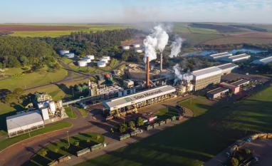 Como a IA promete transformar moagem da cana e ampliar receita nas usinas