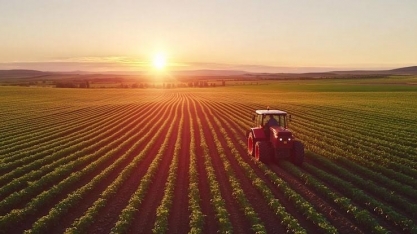 Safra injeta R$ 1,42 trilhão no campo, alta real de 51% em dez anos