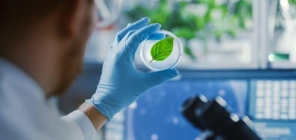 O que é necessário para bioeconomia se tornar um fenômeno global