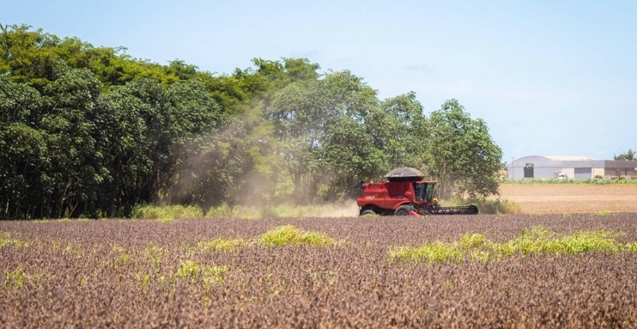  Produtores renegociaram R$ 5,8 bilhões em dívidas desde outubro