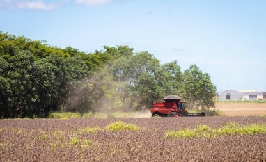  Produtores renegociaram R$ 5,8 bilhões em dívidas desde outubro