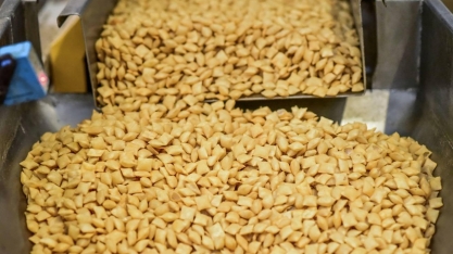 Exportação e tecnologia impulsionam produção de amendoim no País