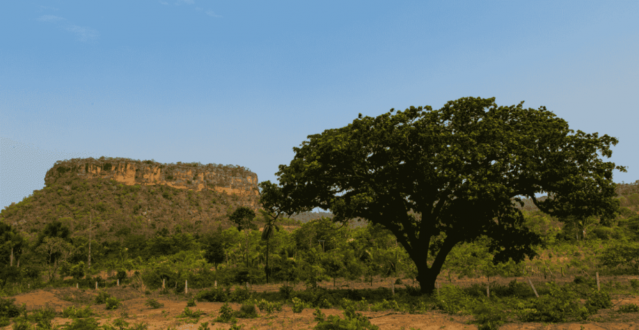 Lula desapropria fazendas em SP, MT, RS, RN e MG, totalizando 5554 há