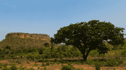 Lula desapropria fazendas em SP, MT, RS, RN e MG, totalizando 5554 há