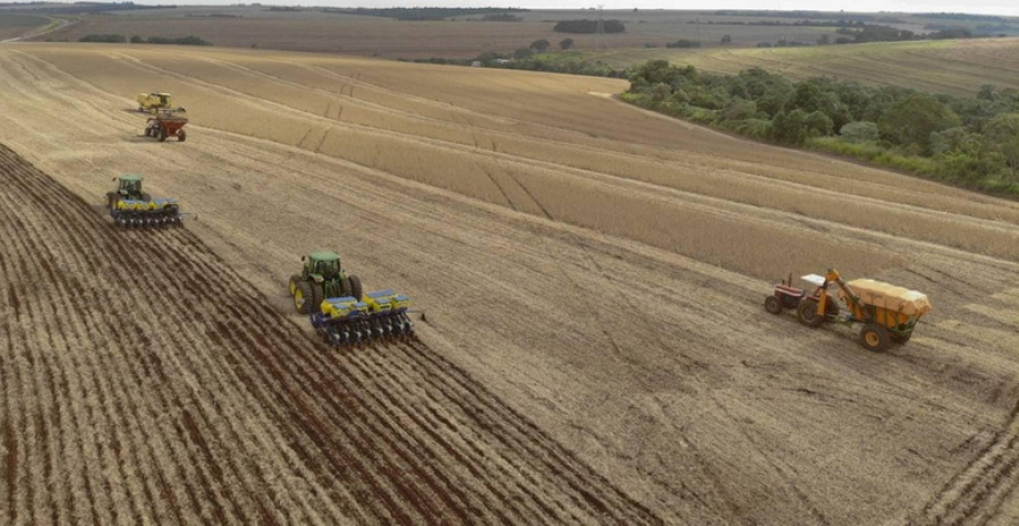 IBGE prevê safra menor neste ano, mas Conab ainda estima volume recorde