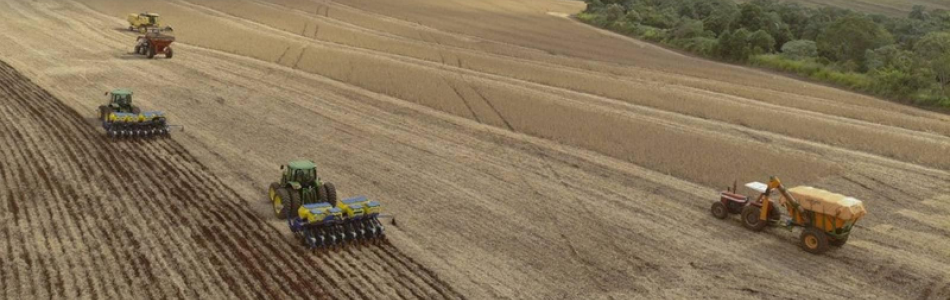 IBGE prevê safra menor neste ano, mas Conab ainda estima volume recorde