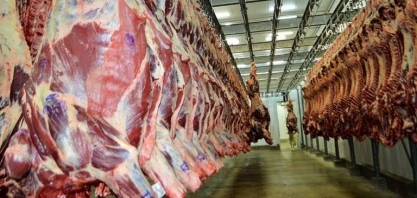 Brasil produz 11% do volume mundial de carnes e consome 7,7%