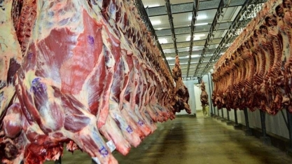 Brasil produz 11% do volume mundial de carnes e consome 7,7%