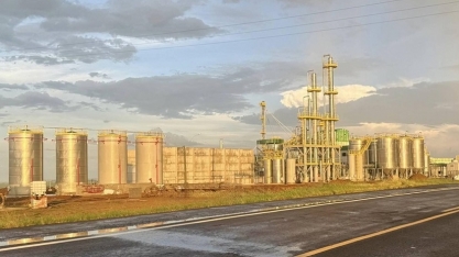 Usinas de etanol de trigo criam nova demanda para cereal no RS