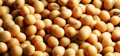 Grupo Formoso, dono da Uniggel Sementes, pede recuperação judicial