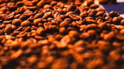 Setor do café celebra acordo Mercosul-UE; produtores de vinho preocupação