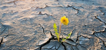 O agro precisa dominar a Lei Rouanet e liderar a reconstrução cultural