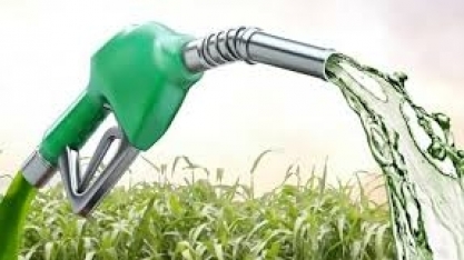 Etanol: Hidratado sobe 1,60% e anidro 2,17% na semana nas usinas de SP