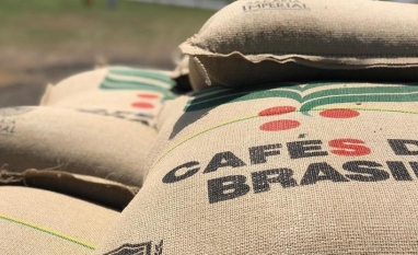 Exportação de café caiu 21% em 2025, mas receita bateu recorde