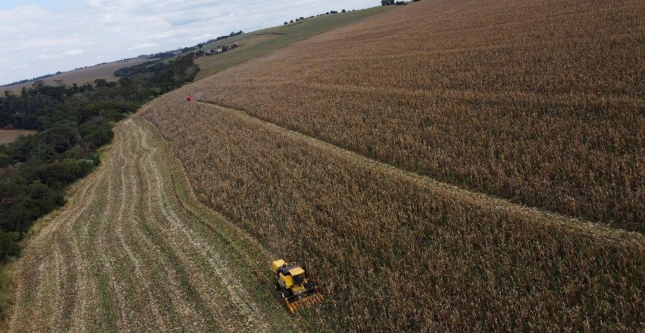 Inadimplência no agro atinge 8,3% no 3T25; geração dos 30 é a mais afetada
