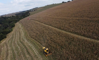 Inadimplência no agro atinge 8,3% no 3T25; geração dos 30 é a mais afetada