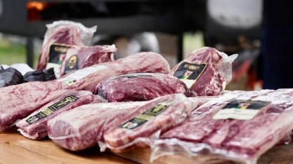 Exportação de carne Angus certificada cresceu 260% e bateu recordes em 2025
