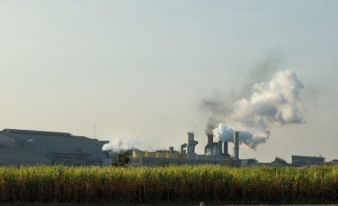 Etanol: BTG aponta redução do ‘porto seguro’ e novo preço de equilíbrio