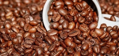EUA perdem posto histórico de maior comprador de café do Brasil