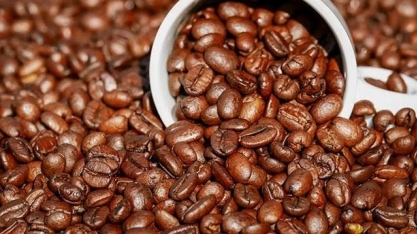 EUA perdem posto histórico de maior comprador de café do Brasil