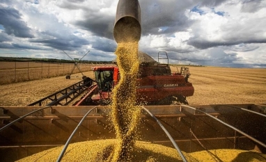Brasil inicia colheita recorde de soja em fase de muita oferta