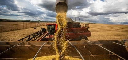Brasil inicia colheita recorde de soja em fase de muita oferta