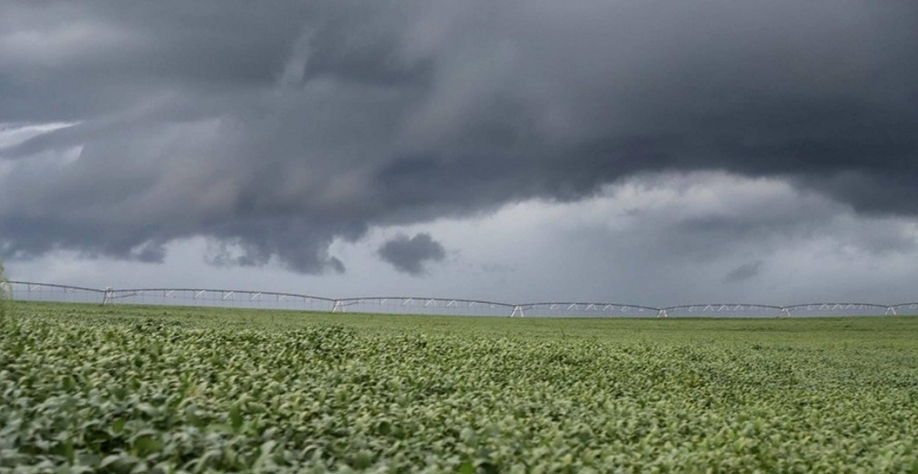 Chuvas persistentes afetam a colheita da soja em Mato Grosso 